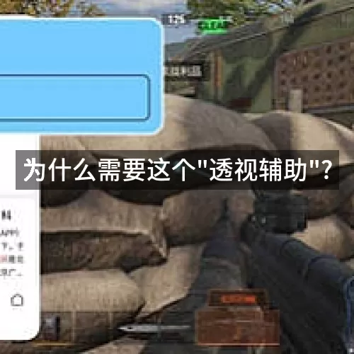 '为什么需要这个"透视辅助"?'