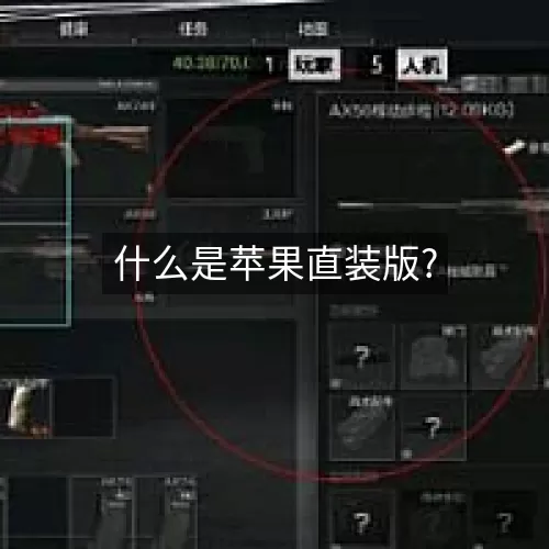 什么是苹果直装版?